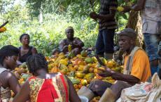 science-journalism-ghana-agriculture